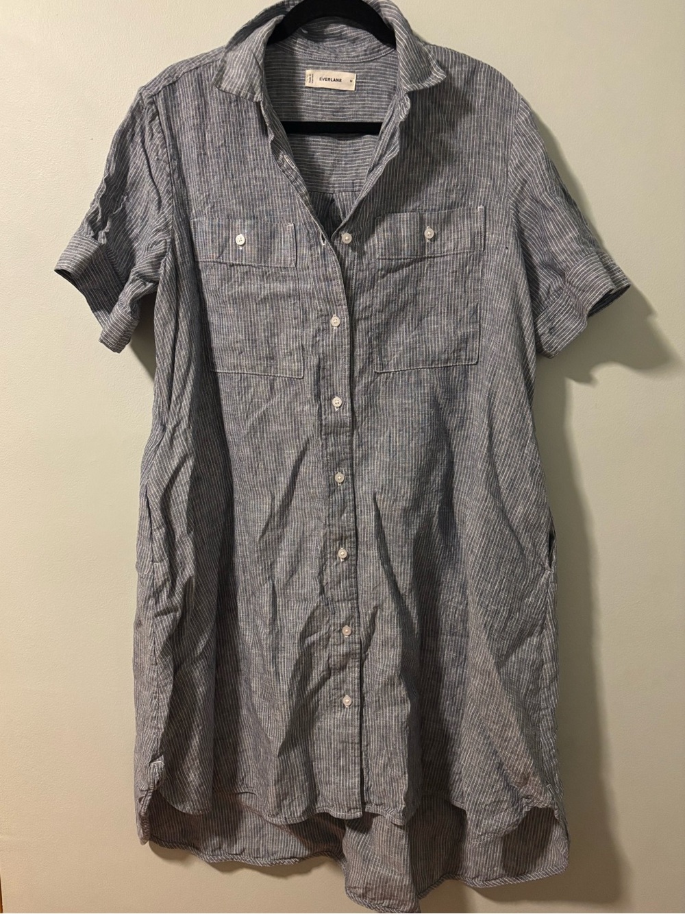 The Daytripper Dress in Blue-White Linen Everlane Size M